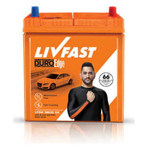 Livfast-LFDM-55B24LS-KK L
