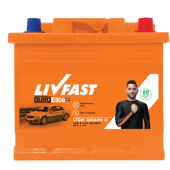 LFDM DIN60 N JJL Battery